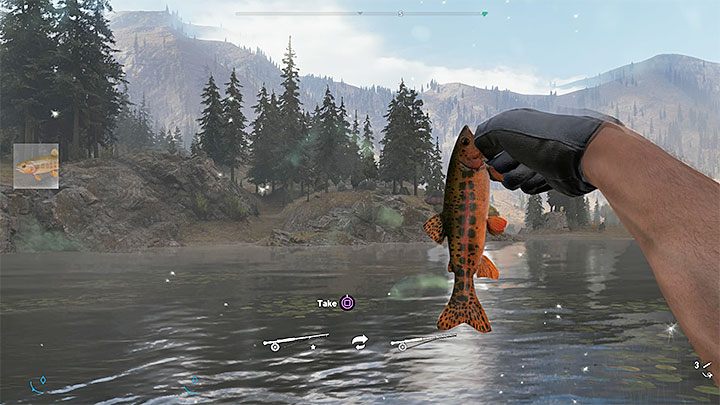 Jeśli poprawnie wykonałeś wszystkie kroki to wyłowiona zostanie ryba - Łowienie ryb w Far Cry 5 - Far Cry 5 - poradnik do gry