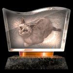 Rodzaj trofeum: brązowe - Yakuza 6: Trofea - Yakuza 6: The Song of Life - poradnik do gry