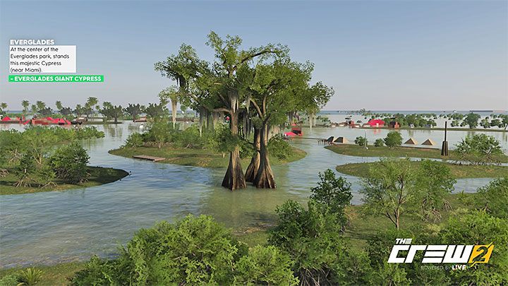 Opis: Pośrodku parku Everglades rośnie majestatyczny cyprys (nieopodal Miami) - Album - Offroad | Zadań fotograficznych w The Crew 2 - The Crew 2 - poradnik do gry