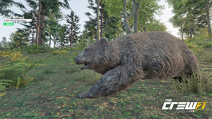 Opis: Uważaj na niedźwiedzia - Album - Offroad | Zadań fotograficznych w The Crew 2 - The Crew 2 - poradnik do gry