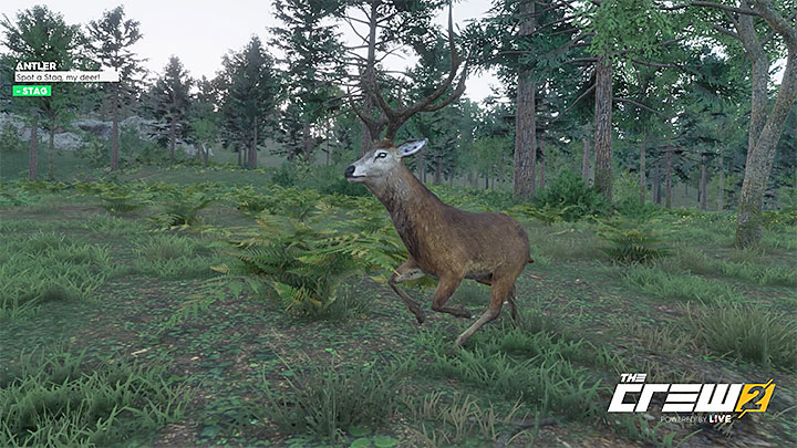 Opis: Znajdź jelenia, złotko - Album - Offroad | Zadań fotograficznych w The Crew 2 - The Crew 2 - poradnik do gry