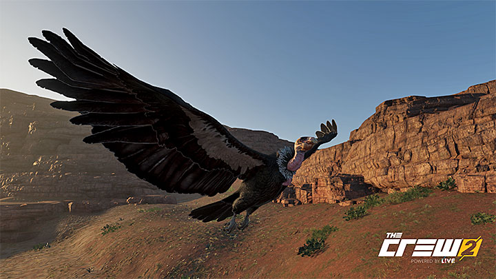 Opis: Uchwyć piękno kondora - Album - Offroad | Zadań fotograficznych w The Crew 2 - The Crew 2 - poradnik do gry