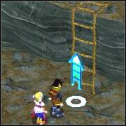 Dojdziecie do drabiny, po której wejdź oczywiście na górę - Inor Mountains | ROZDZIAŁ 1 | Grandia II - Grandia II - poradnik do gry