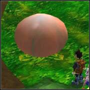 Widzisz te napuchnięte rośliny - Raul Hills | ROZDZIAŁ 2 | Grandia II - Grandia II - poradnik do gry