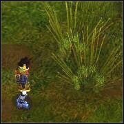 Nareszcie na ziemi :-) Idź na dół a następnie skręć w prawo - Great Rift | ROZDZIAŁ 3 | Grandia II - Grandia II - poradnik do gry