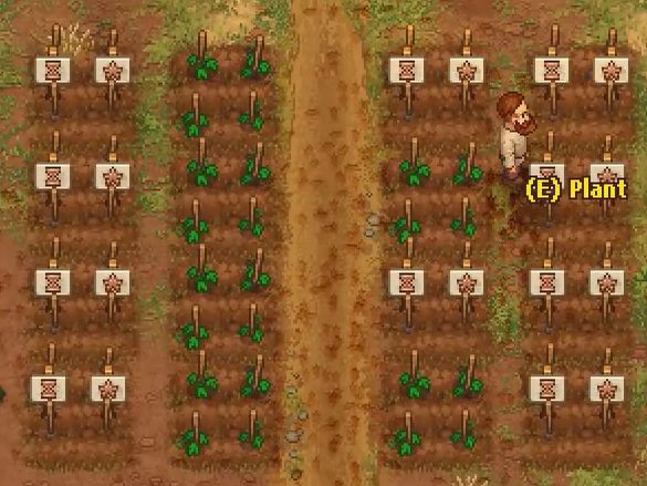 Hemp rope możesz stworzyć z 4 fragmentów hemp - Jak zdobyć Hemp rope w grze Graveyard Keeper? - Graveyard Keeper - poradnik do gry