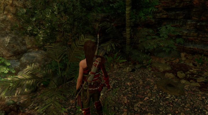 Na zachód od obozowiska Wild Jungle znajduje się teren pokryty drobnymi kamieniami - Skrzynie i skrytki surwiwalowe w Ukrytym Mieście | Sekrety w Tomb Raider - Shadow of the Tomb Raider - poradnik do gry