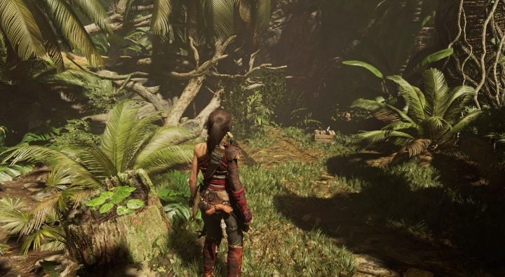 Operation Update (10) - gdy podejdziesz do tego punktu na mapie od razu zauważysz ten obiekt - Skarby, relikty i dokumenty | Sekrety w Shadow of the Tomb Raider - Shadow of the Tomb Raider - poradnik do gry