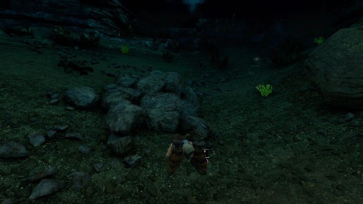 W zbiorniku wodnym, znajdującym się po prawej stronie monolitu, na dnia ułożone są kamienie - Dialekt Quechua - monolity w Shadow of the Tomb Raider - Shadow of the Tomb Raider - poradnik do gry