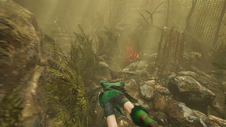Kwiaty potrzebne do wyzwania Na dnie rosną na samym dnie zbiornika wodnego - Wyzwania w Kuwak Yaku | Sekrety w Shadow of the Tomb Raider - Shadow of the Tomb Raider - poradnik do gry