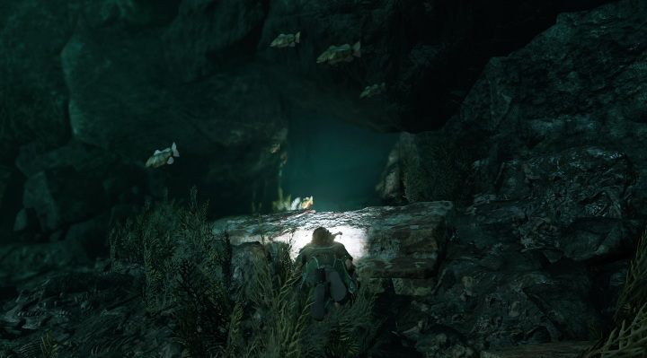 Pierwszy survival cache (1) - pierwszy survival cache znajdziesz pod wodą, - Skrzynie, relikty i dokumenty w Cozumel | Sekrety w Shadow of the Tomb Raider - Shadow of the Tomb Raider - poradnik do gry