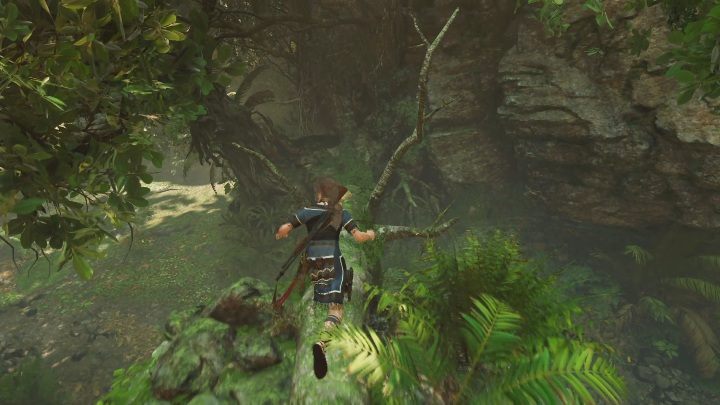 Aby dostać się do skarbu musisz pierw przejść na drugą stronę skał za pomocą rozbitego drzewa - Dialekt Mam- monolity w Shadow of the Tomb Raider - Shadow of the Tomb Raider - poradnik do gry