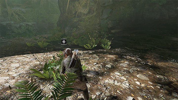 Podążaj liniową drogą - Walka z jaguarami i dotarcie do Jonaha - Solucja Shadow of the Tomb Raider - Shadow of the Tomb Raider - poradnik do gry