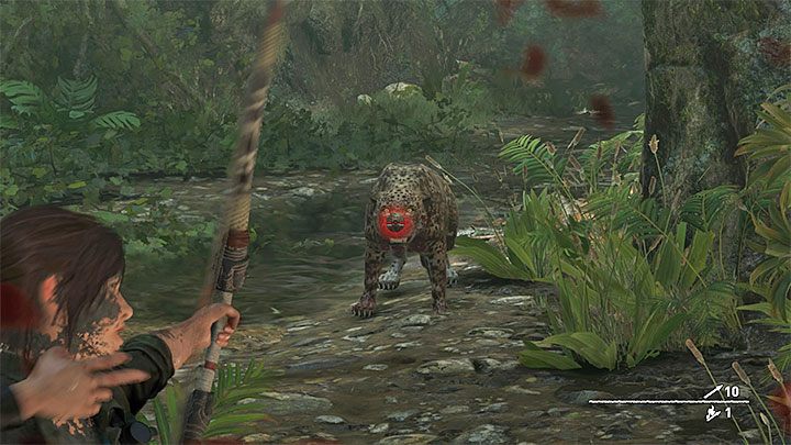 Ważną informacją jest to, że do wygrania potyczki wymagane jest zabicie tylko jednego z jaguarów - Walka z jaguarami i dotarcie do Jonaha - Solucja Shadow of the Tomb Raider - Shadow of the Tomb Raider - poradnik do gry