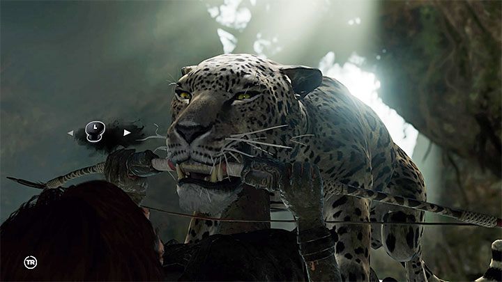 Jeśli zostaniesz powalony przez jaguara to rozpocznie się scenka z siłowania się ze zwierzęciem - Walka z jaguarami i dotarcie do Jonaha - Solucja Shadow of the Tomb Raider - Shadow of the Tomb Raider - poradnik do gry