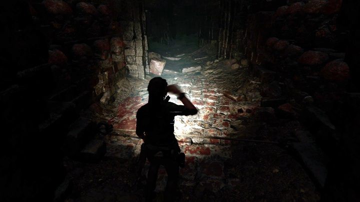 Podążając dalej trafisz na fragment jaskini z pułapkami, które musisz rozbroić - Krypty - Peruwiańska dżungla w Shadow of the Tomb Raider - Shadow of the Tomb Raider - poradnik do gry