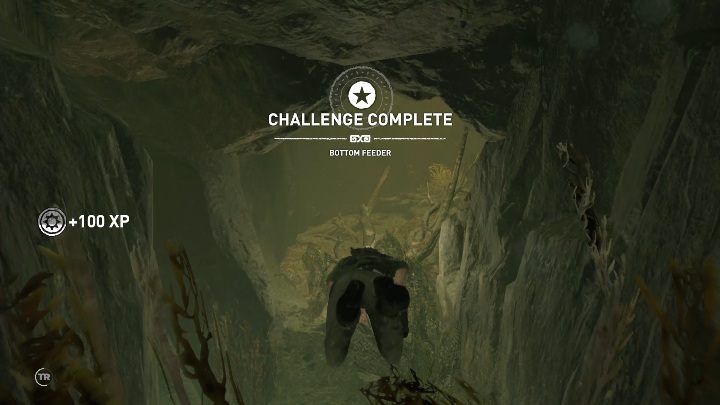 Aby dostać się do krypty musisz zanurkować w zbiorniku wodny i przepłynąć wzdłuż skał - Krypty - Kuwak Yaku w Shadow of the Tomb Raider - Shadow of the Tomb Raider - poradnik do gry