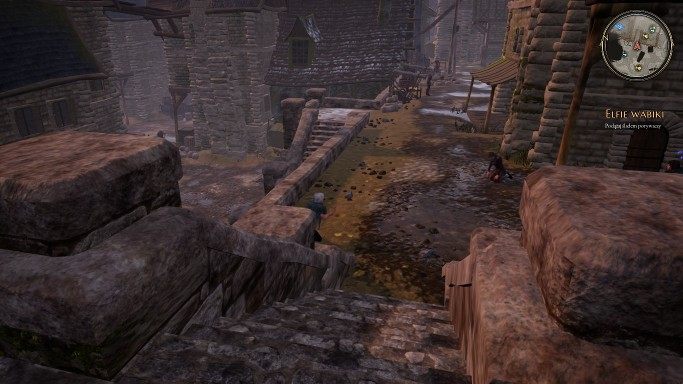 W celu otworzenia napotkanych drzwi, koła zębate powinny być ułożone w następujący sposób - Elfie wabiki - zadanie w The Bards Tale 4 - solucja - The Bards Tale 4 - poradnik do gry