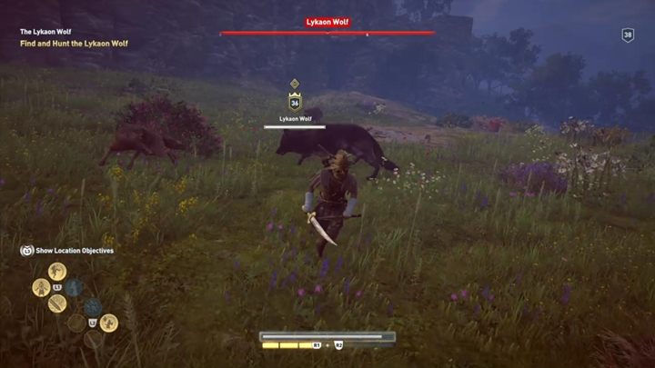 Opis: Jak to często bywa z wilkiem - polują one w stadzie - Wilk Lykaon - Polowanie na siedem bestii - Assassins Creed Odyssey - poradnik do gry