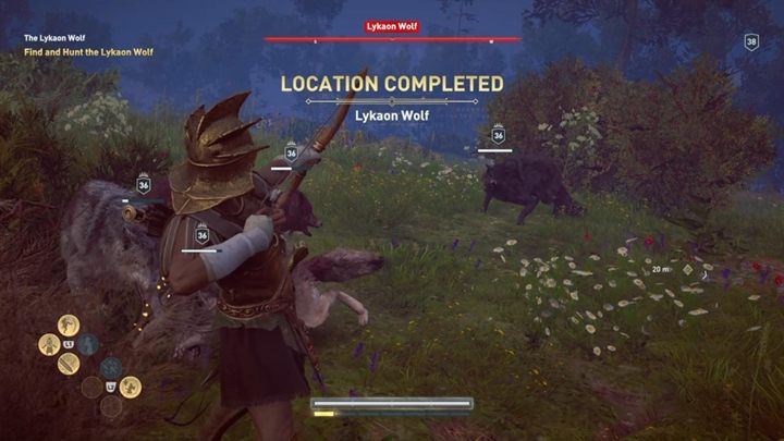 Ta walka to typowy pojedynek z dużą ilością wrogów - Wilk Lykaon - Polowanie na siedem bestii - Assassins Creed Odyssey - poradnik do gry