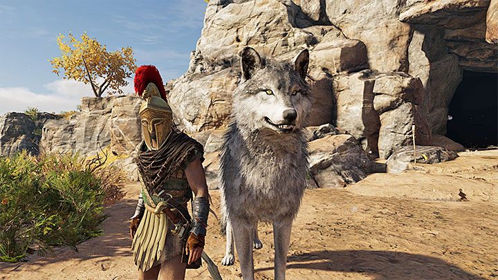 W celu oswojenia drapieżnika musisz go dostatecznie osłabić w trakcie walki i ogłuszyć - Czy można oswajać zwierzęta w Assassins Creed Odyssey? - Assassins Creed Odyssey - poradnik do gry