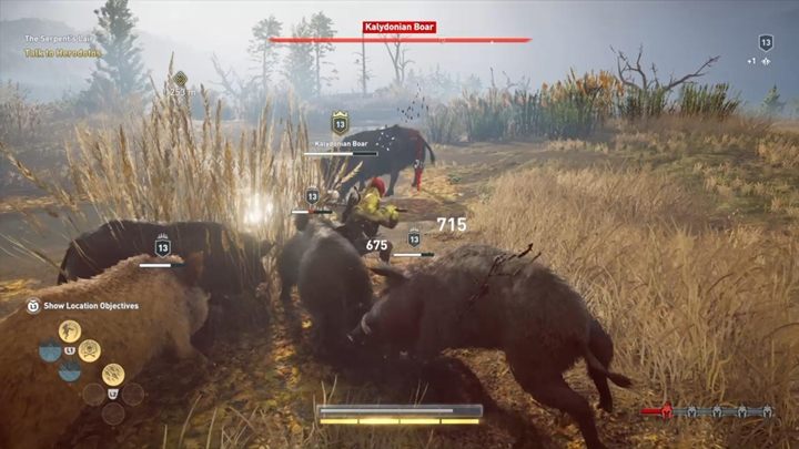 Co jakiś czas, wróg będzie przyzywał hordę pomniejszych dzików, by wspomogły go one w boju - Dzik kalidoński - Fokida - Polowanie na siedem bestii - Assassins Creed Odyssey - poradnik do gry