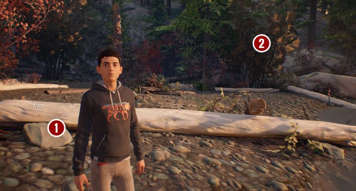 Usiądź na kamieniu, by móc przygotować szkic - Sekrety i szkice | Znajdźki w grze Life is Strange 2 - Life is Strange 2 - poradnik do gry