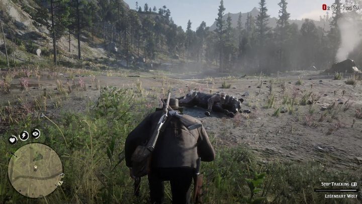 Wilk zaatakuje cię jeśli się do niego zbliżysz - Red Dead Redemption 2: Legendarny Wilk - mapy, porady - Red Dead Redemption 2 - poradnik do gry