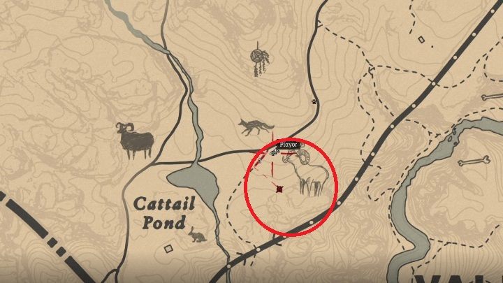 2 - Red Dead Redemption 2: Legendarna Owca - mapy, porady - Red Dead Redemption 2 - poradnik do gry