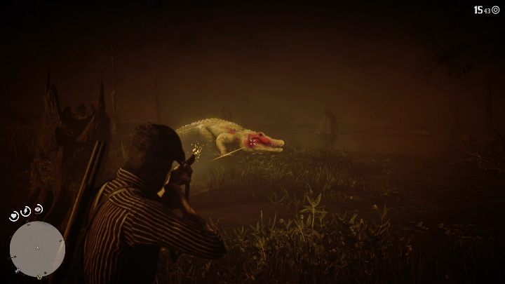 Aligator jest agresywnym, niebezpiecznym, ale i powolnym zwierzęciem - Red Dead Redemption 2: Legendarny aligator - mapy, porady - Red Dead Redemption 2 - poradnik do gry