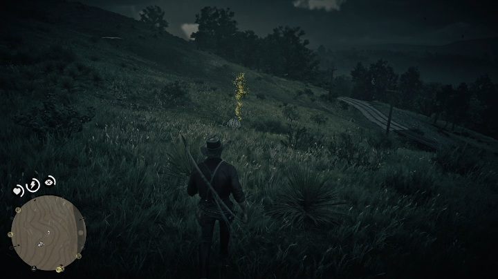 Kości te znajdują się niedaleko torów kolejowych - Red Dead Redemption 2: Kości dinozaurów - Sekrety i znajdźki - Red Dead Redemption 2 - poradnik do gry