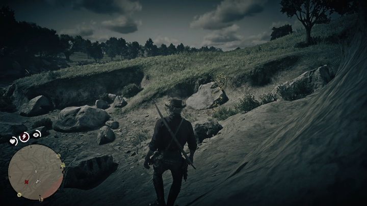 Kości te znajdują się pomiędzy dużymi kamieniami - Red Dead Redemption 2: Kości dinozaurów - Sekrety i znajdźki - Red Dead Redemption 2 - poradnik do gry