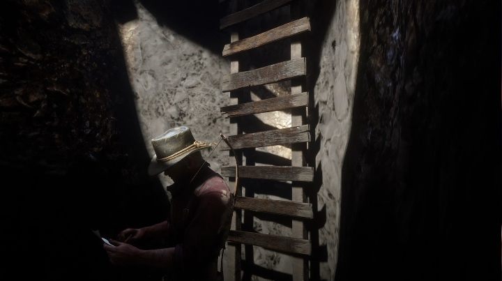 Aby zdobyć te kości musisz zejśc po drabinie do dziury - Red Dead Redemption 2: Kości dinozaurów - Sekrety i znajdźki - Red Dead Redemption 2 - poradnik do gry