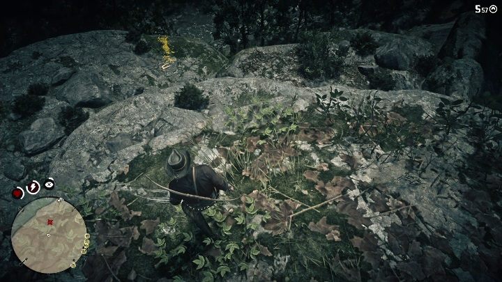 Kości te znajdują się na półce skalnej - Red Dead Redemption 2: Kości dinozaurów - Sekrety i znajdźki - Red Dead Redemption 2 - poradnik do gry
