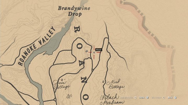 Ten obiekt znajdziesz po wschodniej stronie Roanoke Valley - Red Dead Redemption 2: Kości dinozaurów - Sekrety i znajdźki - Red Dead Redemption 2 - poradnik do gry