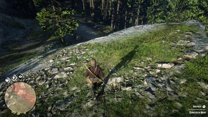 Kości te leżą na urwiskiem - Red Dead Redemption 2: Kości dinozaurów - Sekrety i znajdźki - Red Dead Redemption 2 - poradnik do gry