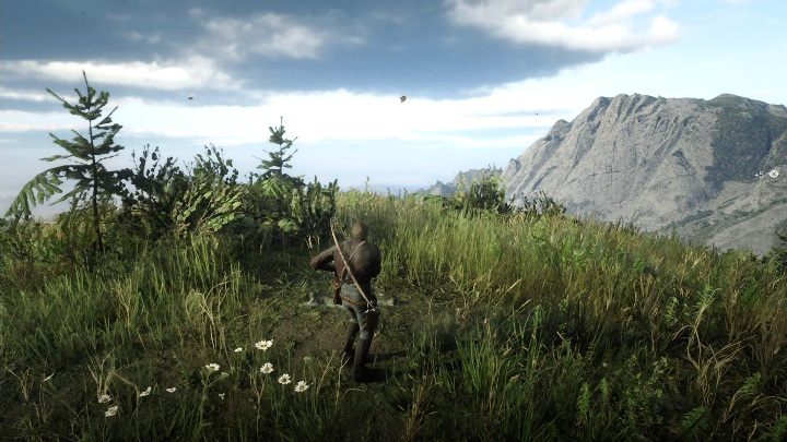 To kolejne kości, które leżą na urwiskiem - Red Dead Redemption 2: Kości dinozaurów - Sekrety i znajdźki - Red Dead Redemption 2 - poradnik do gry