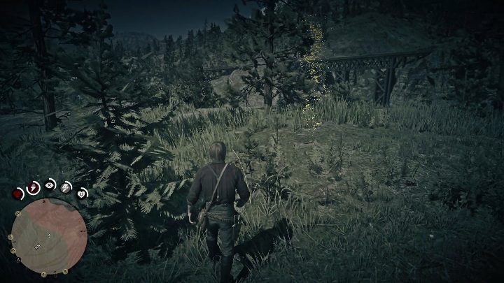 Te kości znajdziesz po środku trawy - Red Dead Redemption 2: Kości dinozaurów - Sekrety i znajdźki - Red Dead Redemption 2 - poradnik do gry