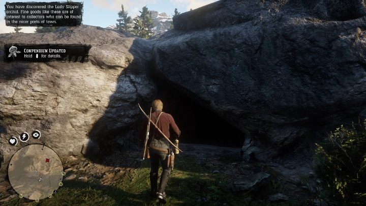 Aby zdobyć te kości musisz wejść do jaskini - Red Dead Redemption 2: Kości dinozaurów - Sekrety i znajdźki - Red Dead Redemption 2 - poradnik do gry