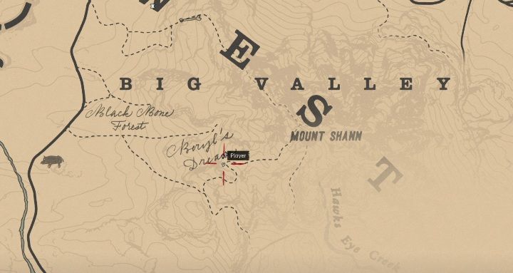 Obiekt ten znajdziesz na południe od Big Valley - Red Dead Redemption 2: Kości dinozaurów - Sekrety i znajdźki - Red Dead Redemption 2 - poradnik do gry