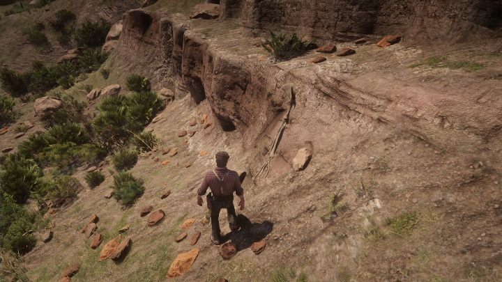 Kości te znajdują się na zboczu góry - Red Dead Redemption 2: Kości dinozaurów - Sekrety i znajdźki - Red Dead Redemption 2 - poradnik do gry