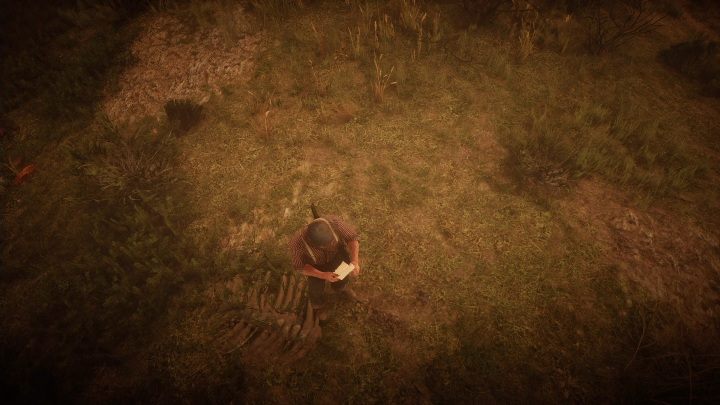 Kości te znajdują się na zboczu góry, nad urwiskiem - Red Dead Redemption 2: Kości dinozaurów - Sekrety i znajdźki - Red Dead Redemption 2 - poradnik do gry