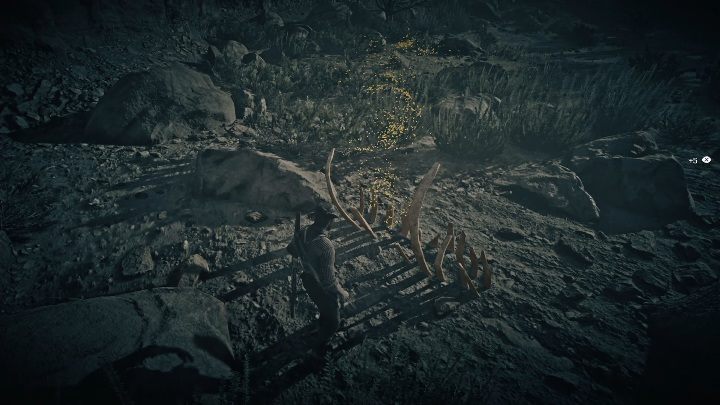 Kości te znajdują się wśród kamieni - Red Dead Redemption 2: Kości dinozaurów - Sekrety i znajdźki - Red Dead Redemption 2 - poradnik do gry