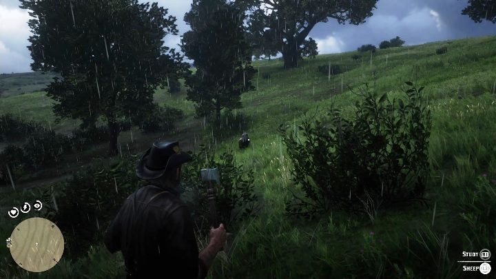 20 - Red Dead Redemption 2: Unikalne przedmioty - Mapa - Red Dead Redemption 2 - poradnik do gry