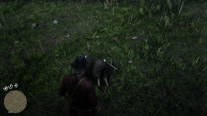 Aby zdobyć ten przedmiot musisz zabić owcę - Red Dead Redemption 2: Unikalne przedmioty - Mapa - Red Dead Redemption 2 - poradnik do gry