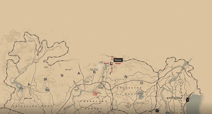 21 - Red Dead Redemption 2: Unikalne przedmioty - Mapa - Red Dead Redemption 2 - poradnik do gry