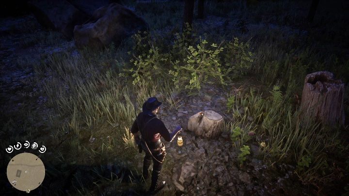 24 - Red Dead Redemption 2: Unikalne przedmioty - Mapa - Red Dead Redemption 2 - poradnik do gry