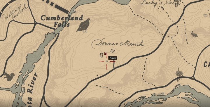 Książkę ta czeka na ciebie we wschodniej części Grizzlies West - Red Dead Redemption 2: Unikalne przedmioty - Mapa - Red Dead Redemption 2 - poradnik do gry