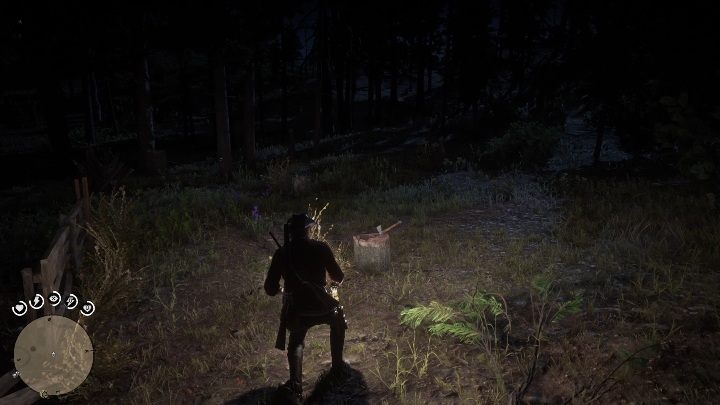 28 - Red Dead Redemption 2: Unikalne przedmioty - Mapa - Red Dead Redemption 2 - poradnik do gry