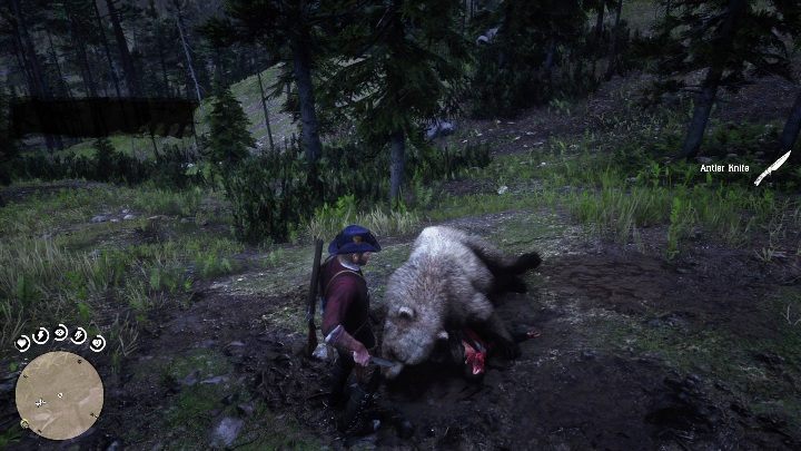 Koło zwłok niedzwiedza znajduje się Antler Knife - Red Dead Redemption 2: Unikalne przedmioty - Mapa - Red Dead Redemption 2 - poradnik do gry